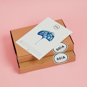 Verpackung aus wiederverwerteten Papier für ooia Periodenunterwäsche und Female Bodywear