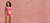 Model trägt pinken lace Periodenslip von ooia und posiert vor einem rosa Hintergrund