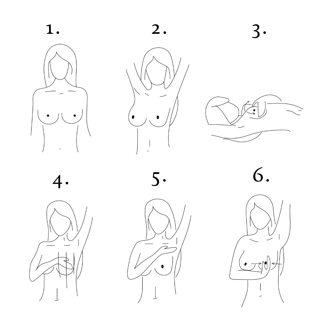 Schritt für Schritt Anleitung für Selbstabtastung als Methode zur Brustkrebs-Früherkennung